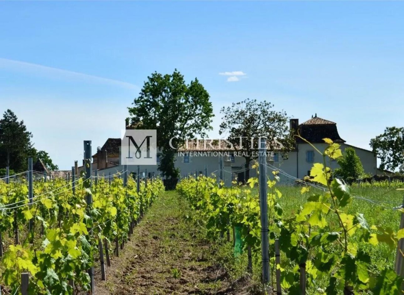 Photos 9 - Vineyard - Sumptuous Chartreuse estate with vineyard near Saint-Emilion