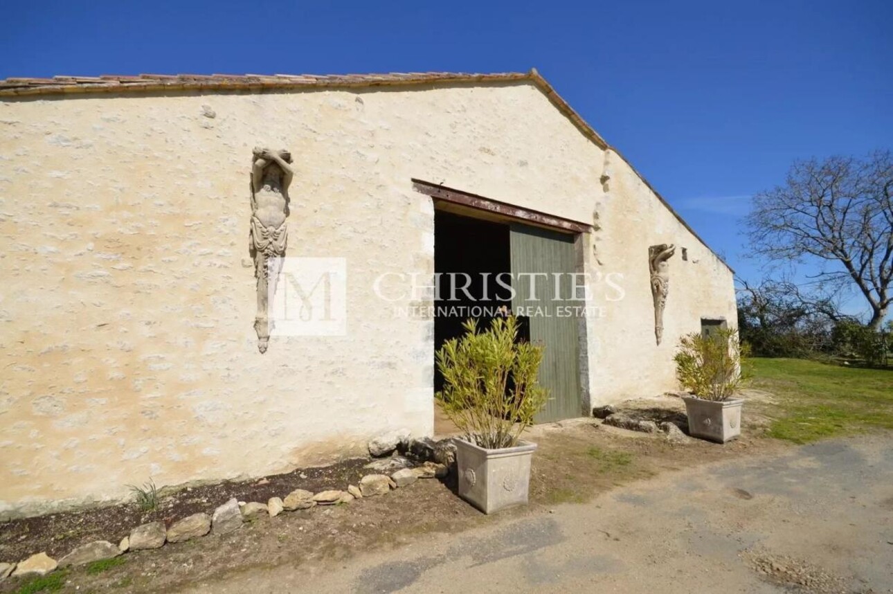 Photos 10 - Vineyard - Sumptuous Chartreuse estate with vineyard near Saint-Emilion