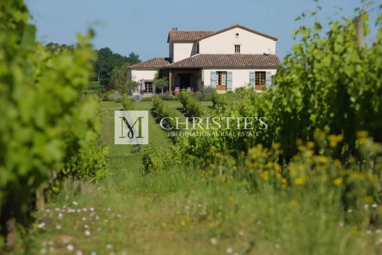 Photos 10 - Vineyard - Magnificent turnkey vineyard estate for sale - AOC Côtes de Duras with wine stock included