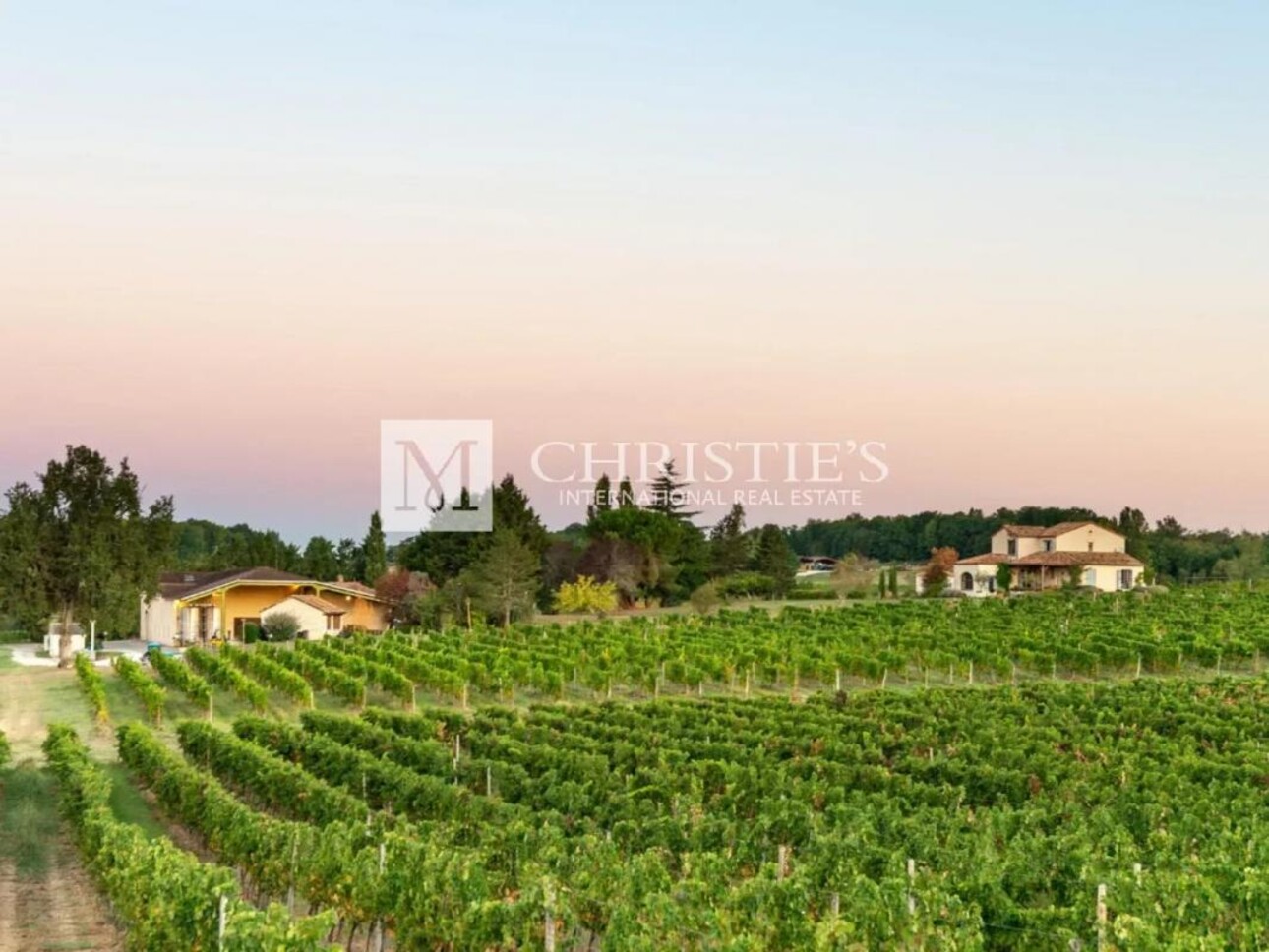 Photos 17 - Vineyard - Magnificent turnkey vineyard estate for sale - AOC Côtes de Duras with wine stock included