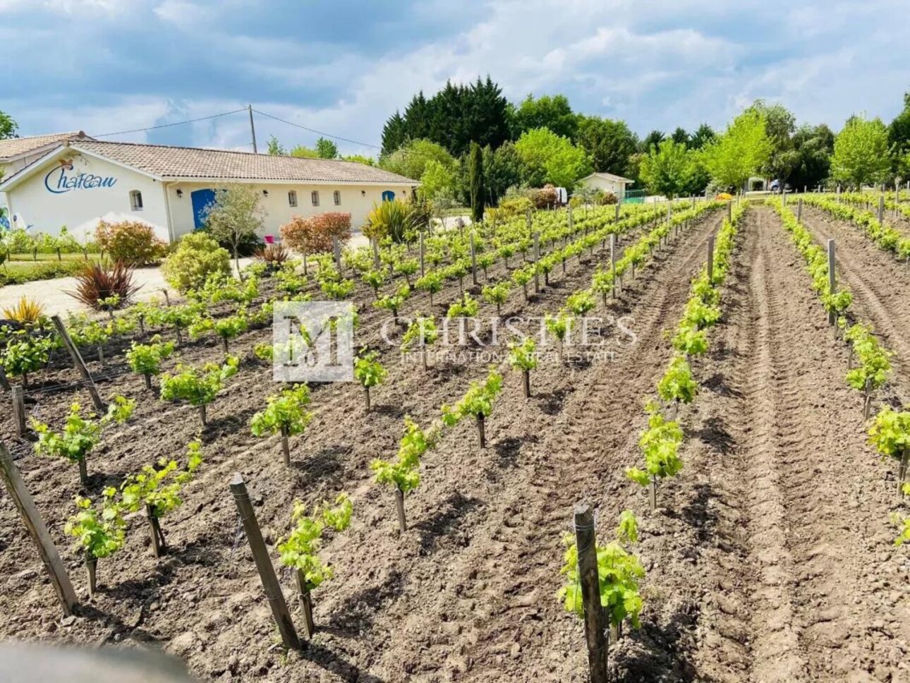 Photos 3 - Tourist - Small vineyard and touristic Bordeaux estate in the Médoc