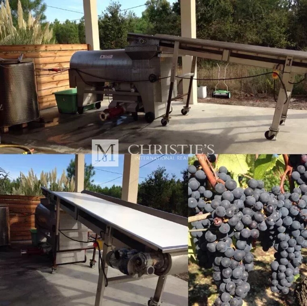 Photos 11 - Tourist - Small vineyard and touristic Bordeaux estate in the Médoc