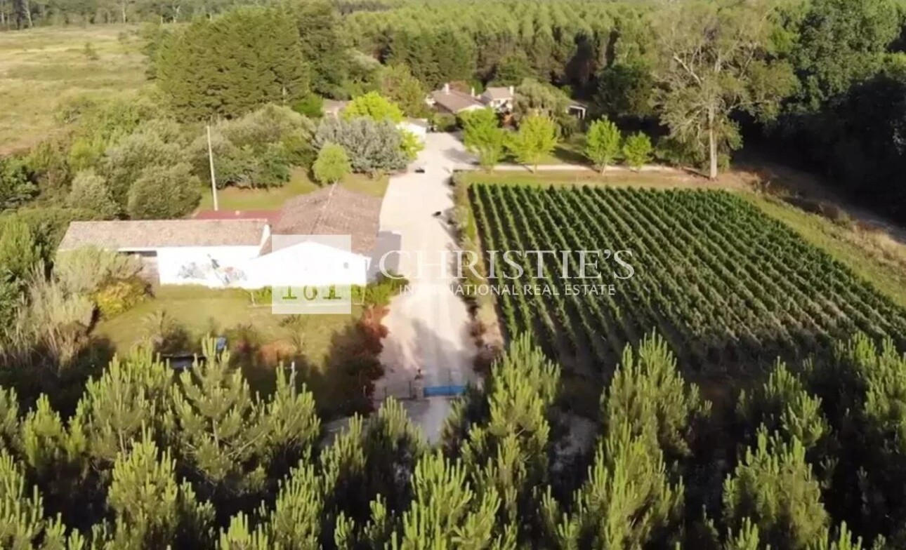 Photos 22 - Tourist - Small vineyard and touristic Bordeaux estate in the Médoc