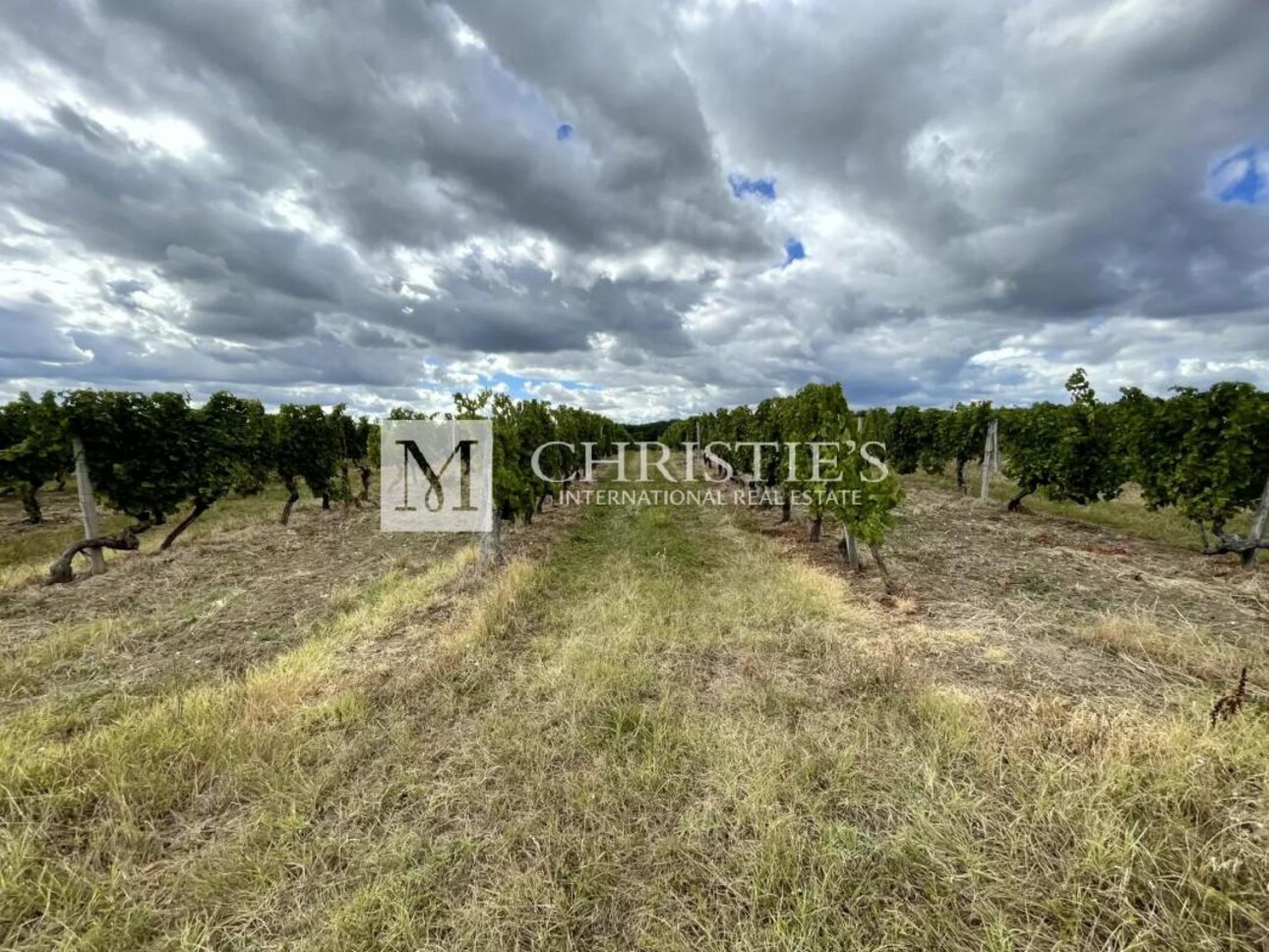 Photos 8 - Vineyard - For sale, at Bordeaux, Family vineyard estate of 13ha, AOC Bergerac