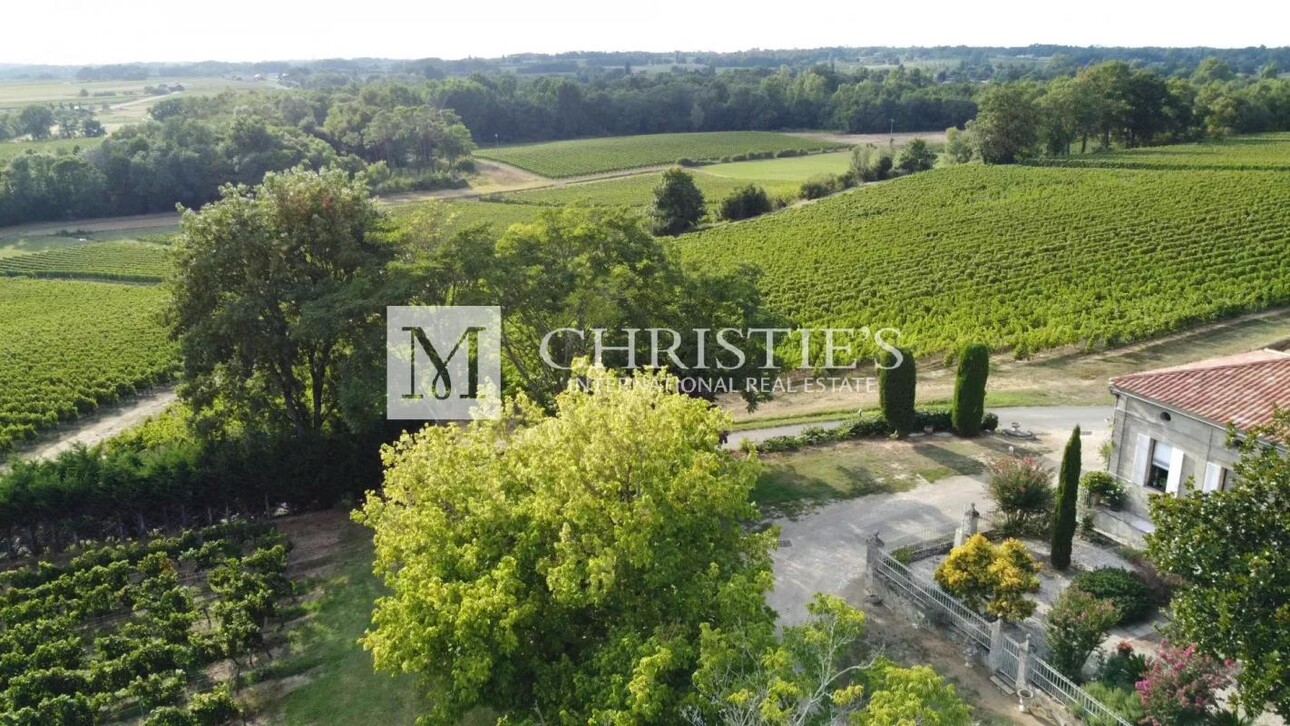 Photos 1 - Vineyard - For sale beautiful 18-ha vinyard estate in a dominant position overlooking the vineyard valley. Just