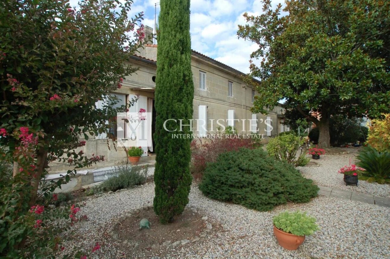 Photos 2 - Vineyard - For sale beautiful 18-ha vinyard estate in a dominant position overlooking the vineyard valley. Just