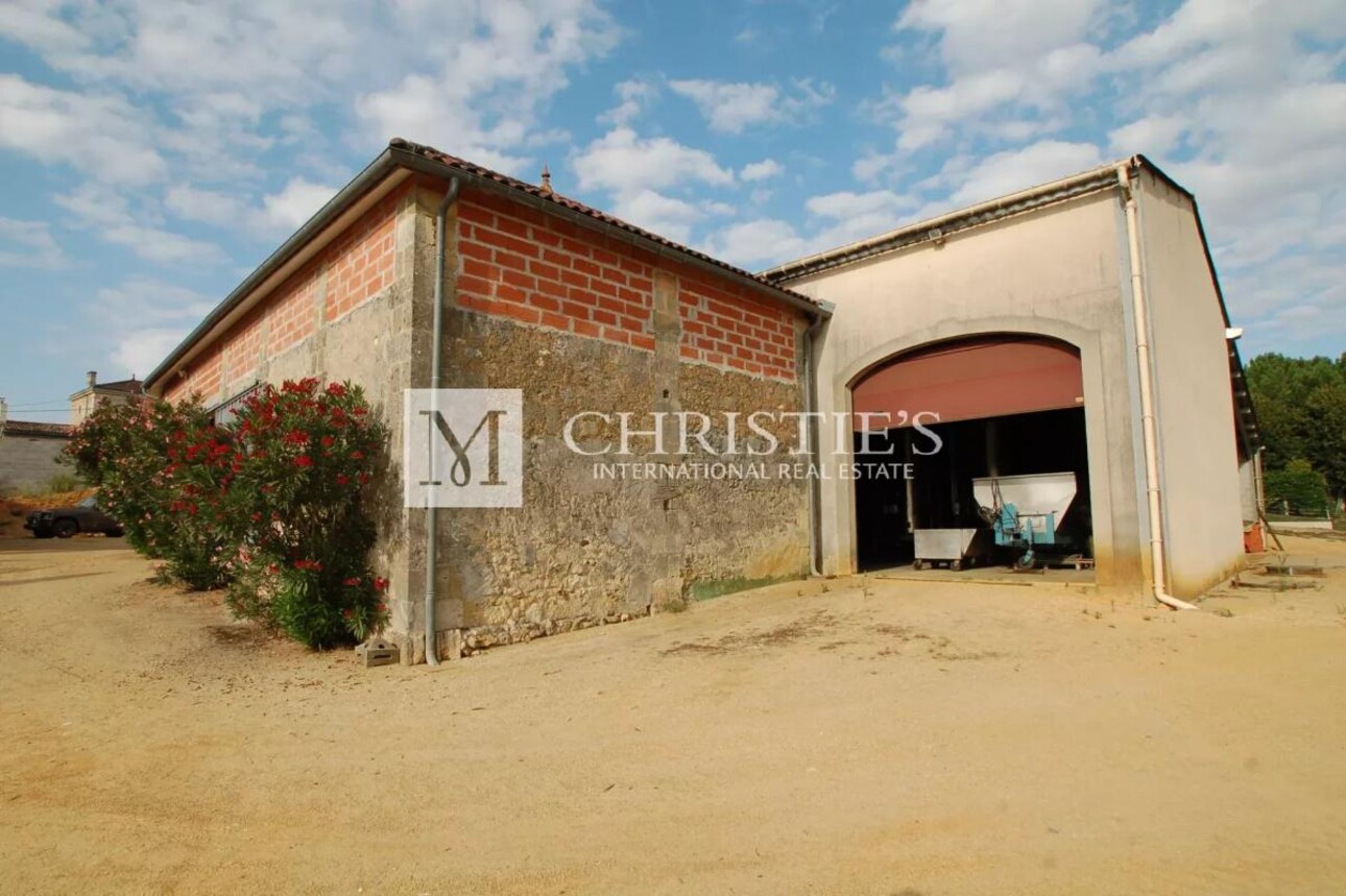 Photos 7 - Vineyard - For sale beautiful 18-ha vinyard estate in a dominant position overlooking the vineyard valley. Just