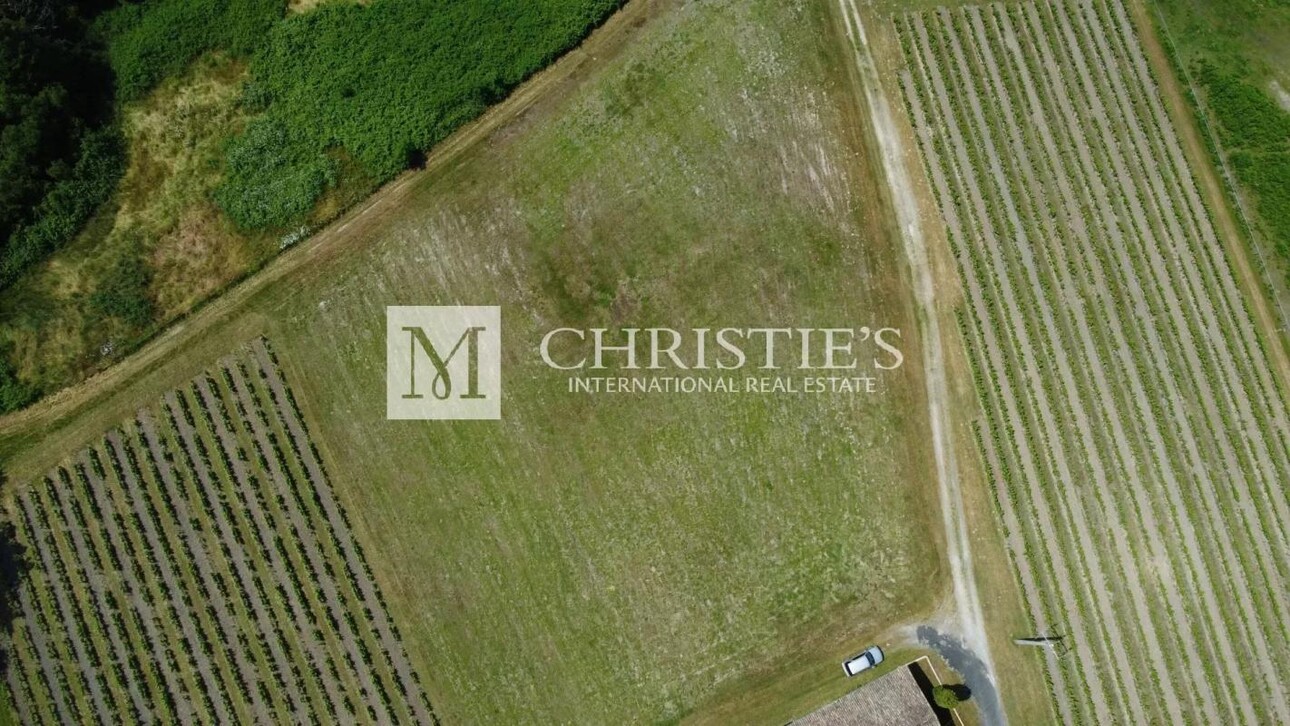 Photos 13 - Viticole - Charmante propriété d'agrément de 3 ha - 1.75 ha de vigne en AOC Côtes de Bordeaux