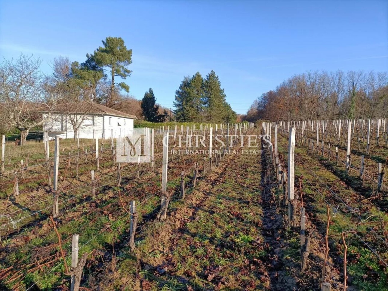 Photos 1 - Vineyard - Small vineyard estate for sale of 6.86 ha with farm buildings in excellent condition