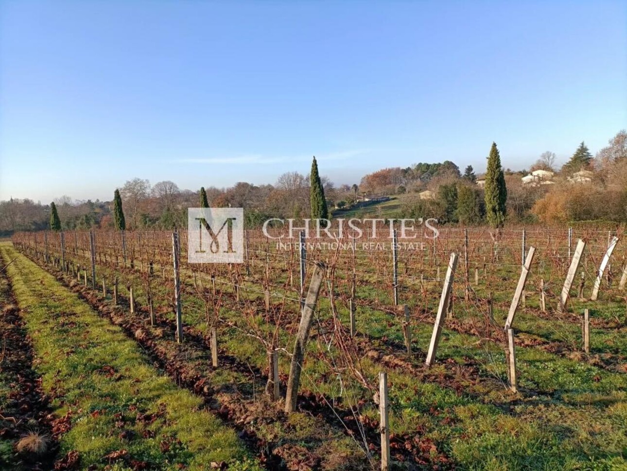 Photos 5 - Vineyard - Small vineyard estate for sale of 6.86 ha with farm buildings in excellent condition