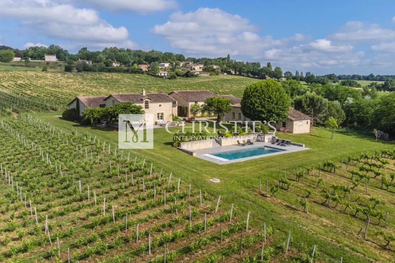 Photos 1 - Vineyard - Two fully renovated stone homes with hobby vineyard near Saint-Emilion