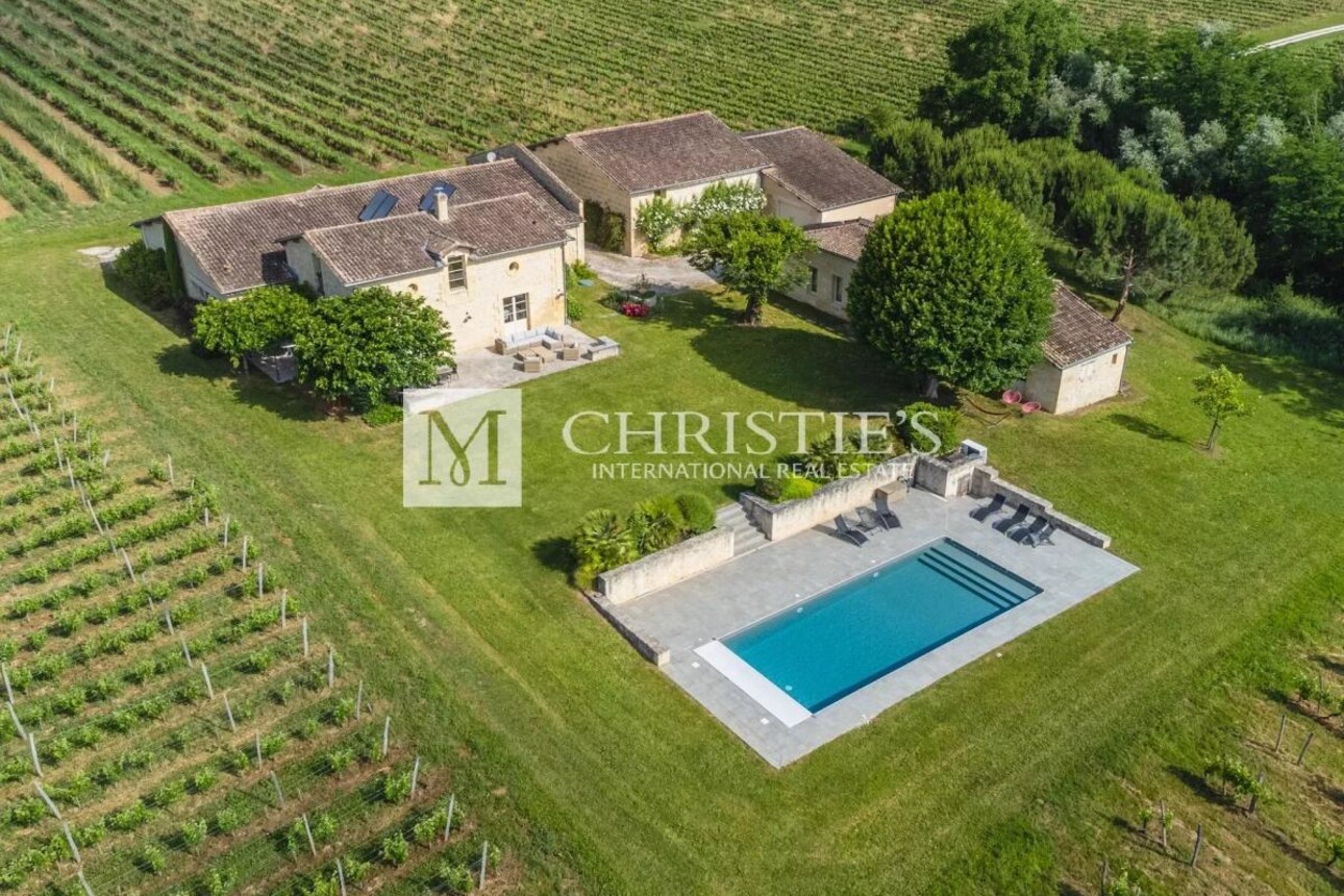 Photos 3 - Vineyard - Two fully renovated stone homes with hobby vineyard near Saint-Emilion