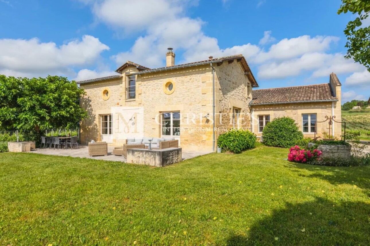 Photos 4 - Vineyard - Two fully renovated stone homes with hobby vineyard near Saint-Emilion