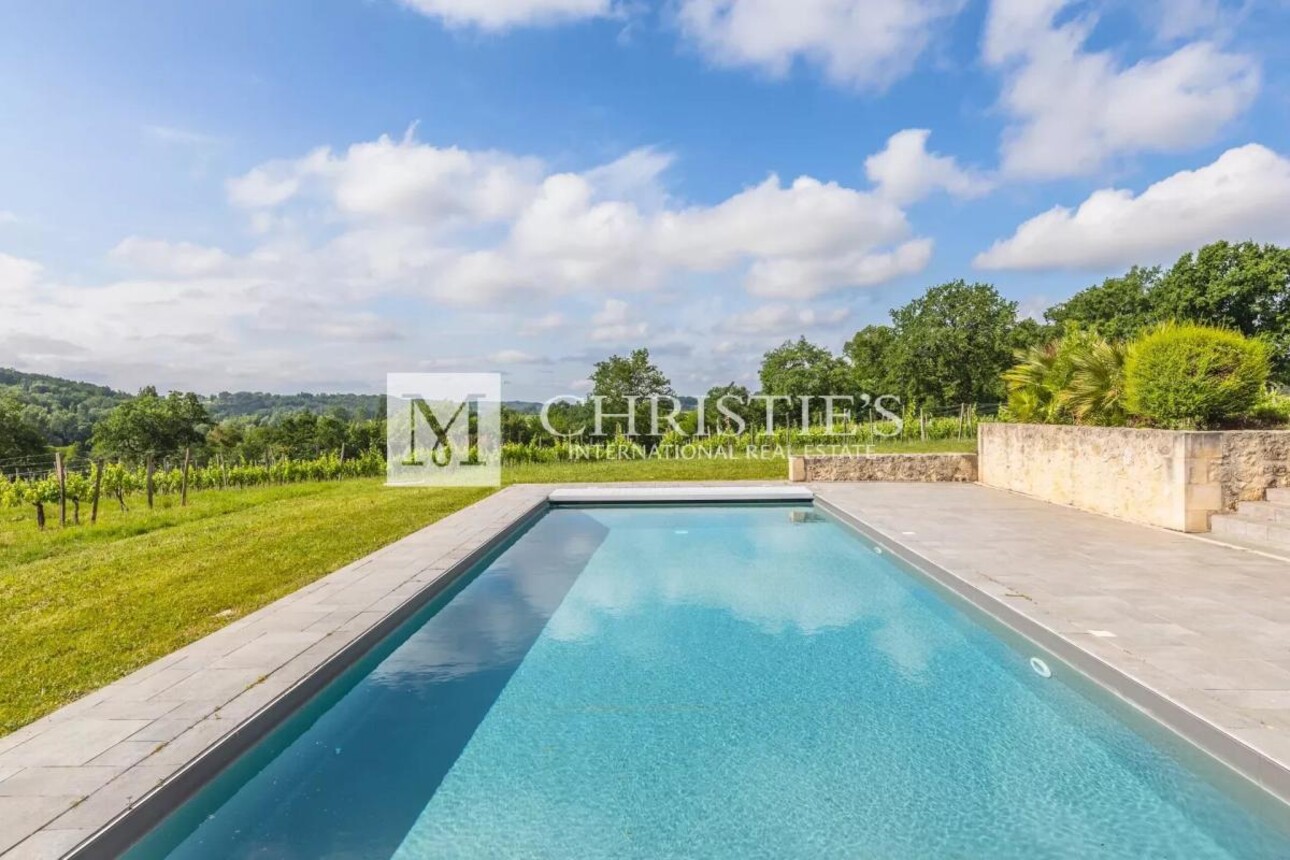 Photos 6 - Vineyard - Two fully renovated stone homes with hobby vineyard near Saint-Emilion