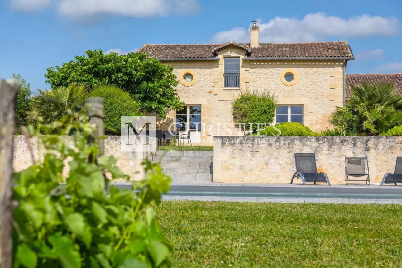 Photos 7 - Vineyard - Two fully renovated stone homes with hobby vineyard near Saint-Emilion