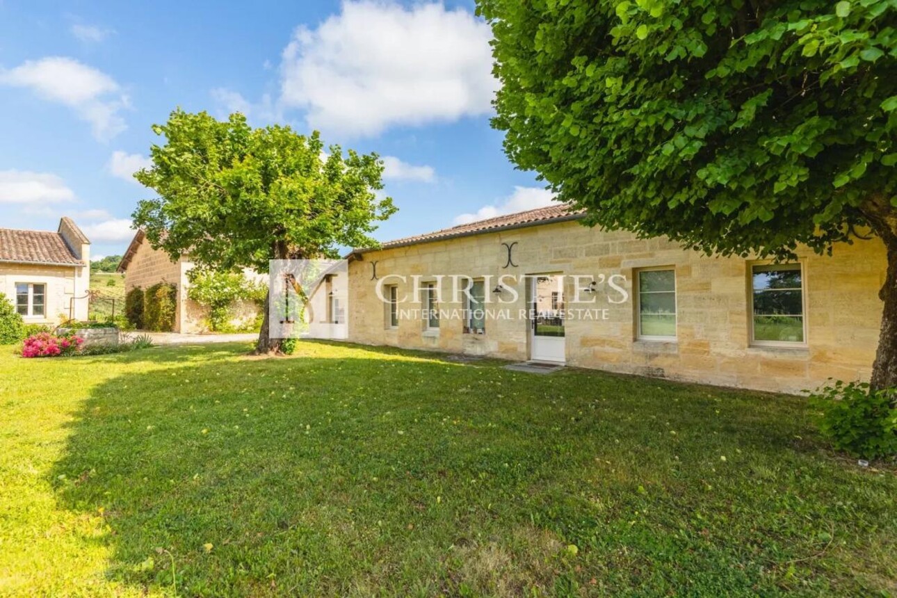 Photos 18 - Vineyard - Two fully renovated stone homes with hobby vineyard near Saint-Emilion