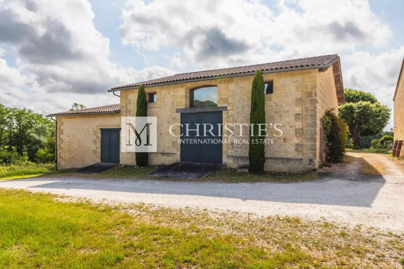 Photos 24 - Vineyard - Two fully renovated stone homes with hobby vineyard near Saint-Emilion