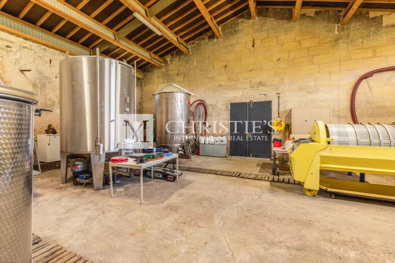 Photos 25 - Vineyard - Two fully renovated stone homes with hobby vineyard near Saint-Emilion