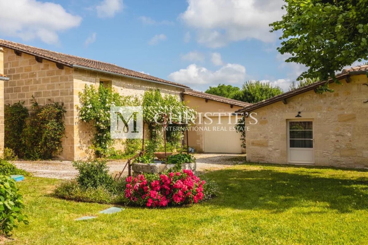 Photos 27 - Vineyard - Two fully renovated stone homes with hobby vineyard near Saint-Emilion