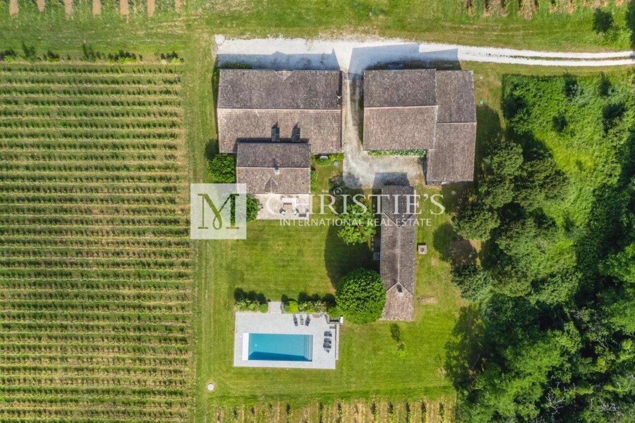 Photos 28 - Vineyard - Two fully renovated stone homes with hobby vineyard near Saint-Emilion