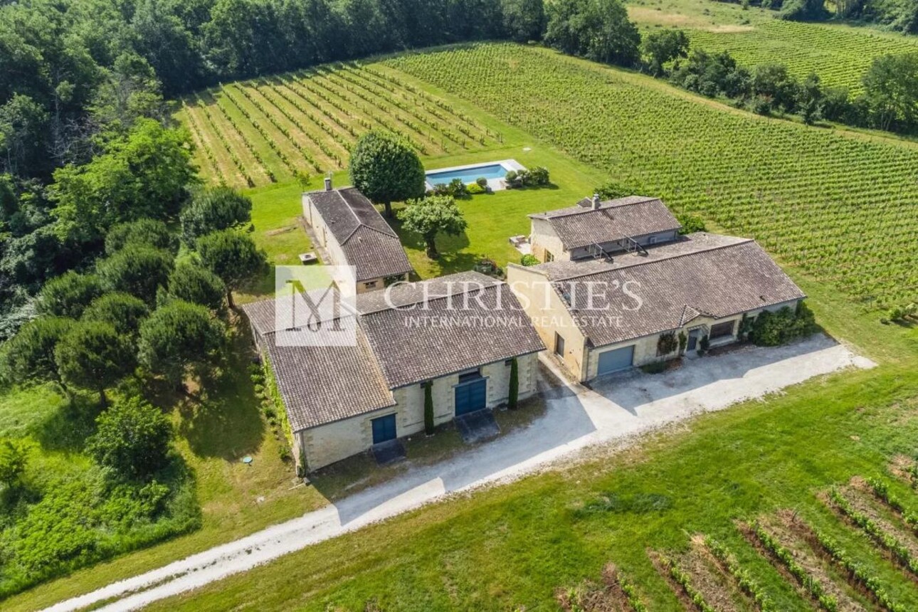 Photos 29 - Vineyard - Two fully renovated stone homes with hobby vineyard near Saint-Emilion