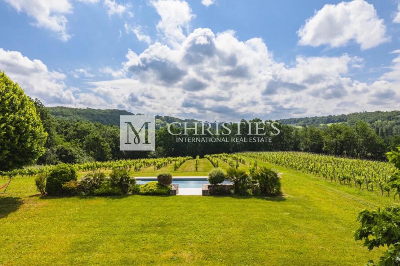 Photos 30 - Vineyard - Two fully renovated stone homes with hobby vineyard near Saint-Emilion