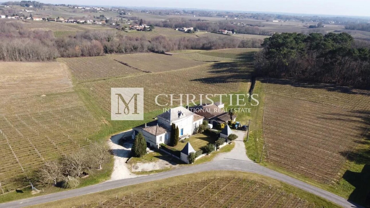 Photos 1 - Vineyard - Vineyard estate for sale  - 10 ha of vines in one single block