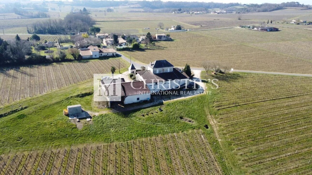 Photos 6 - Vineyard - Vineyard estate for sale  - 10 ha of vines in one single block