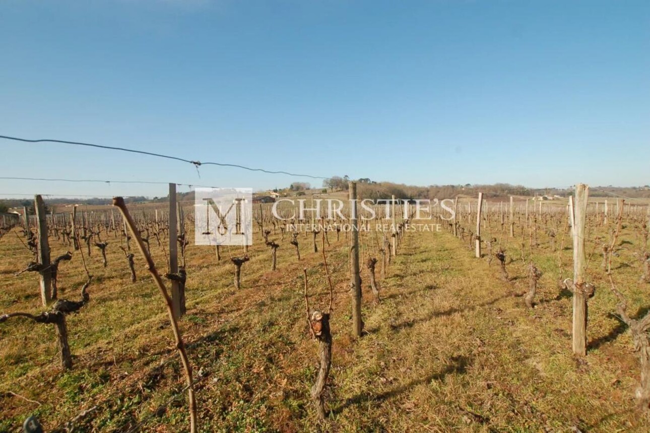 Photos 11 - Vineyard - Vineyard estate for sale  - 10 ha of vines in one single block