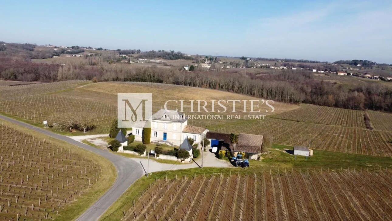 Photos 19 - Vineyard - Vineyard estate for sale  - 10 ha of vines in one single block