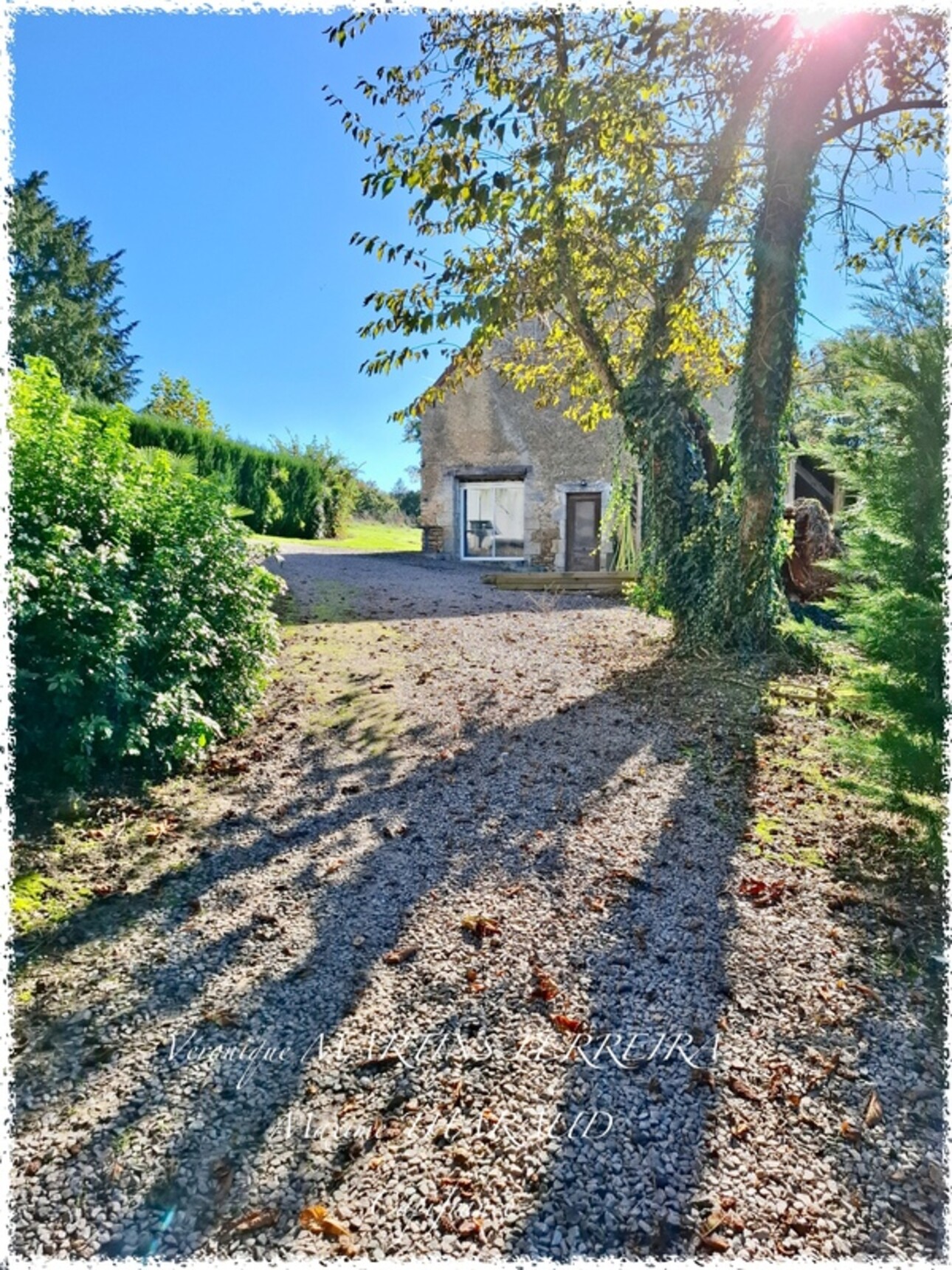 Photos 8 - Equestrian - Propriété à vendre 6 pièces 160m2 sur sa parcelle de 31 979m2 LIGNIERES (18)