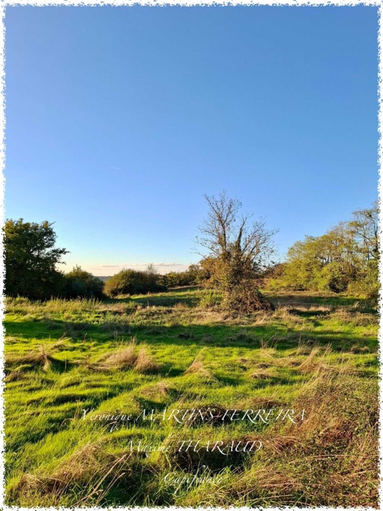 Photos 12 - Equestrian - Propriété à vendre 6 pièces 160m2 sur sa parcelle de 31 979m2 LIGNIERES (18)