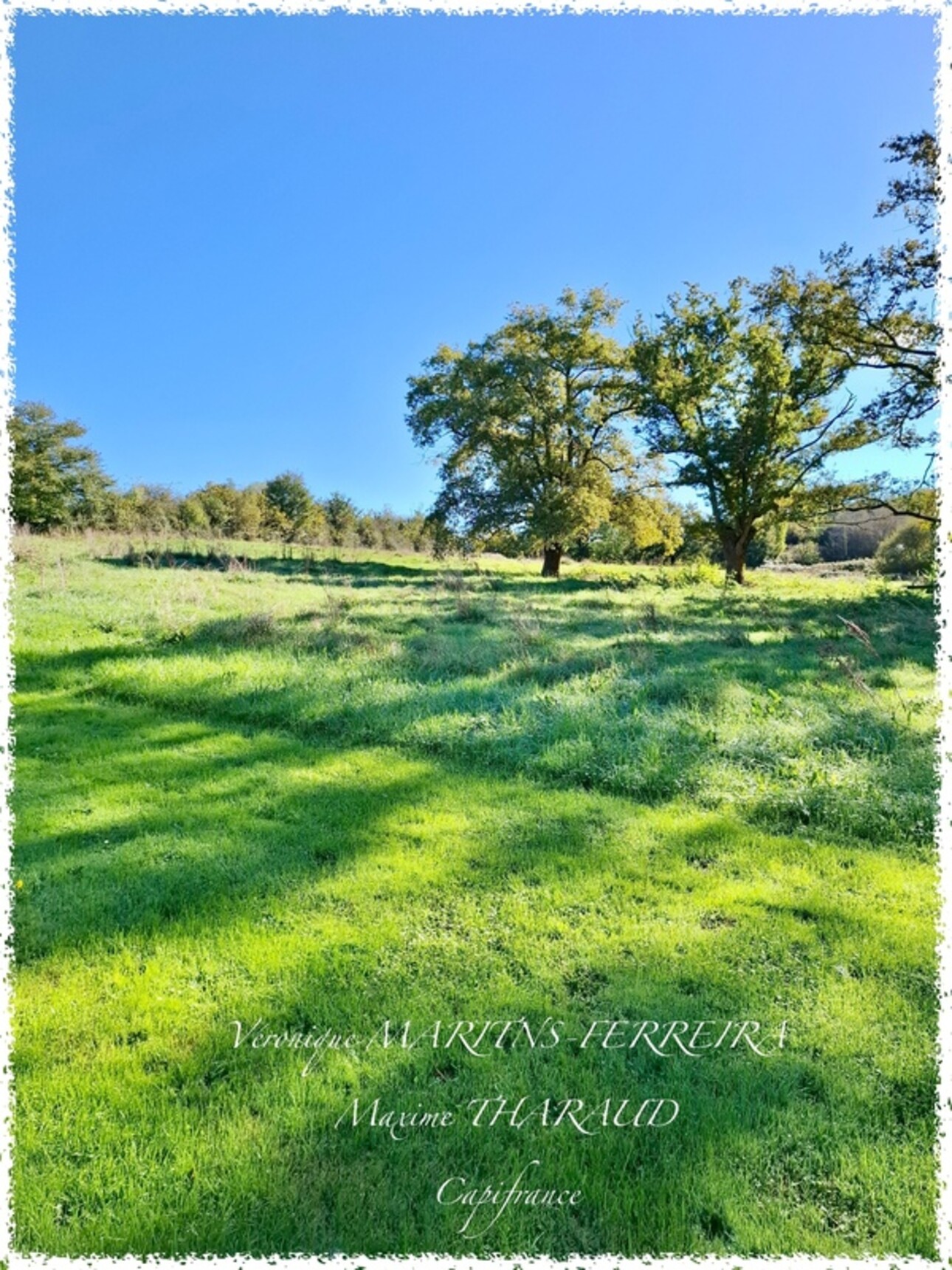 Photos 15 - Equestrian - Propriété à vendre 6 pièces 160m2 sur sa parcelle de 31 979m2 LIGNIERES (18)