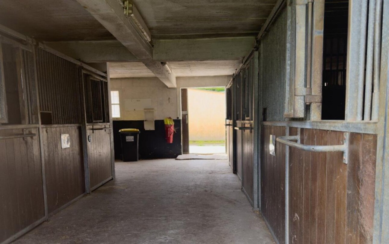 Photos 4 - Equestrian - Propriété équestre - Ecurie de sport - 10 ha