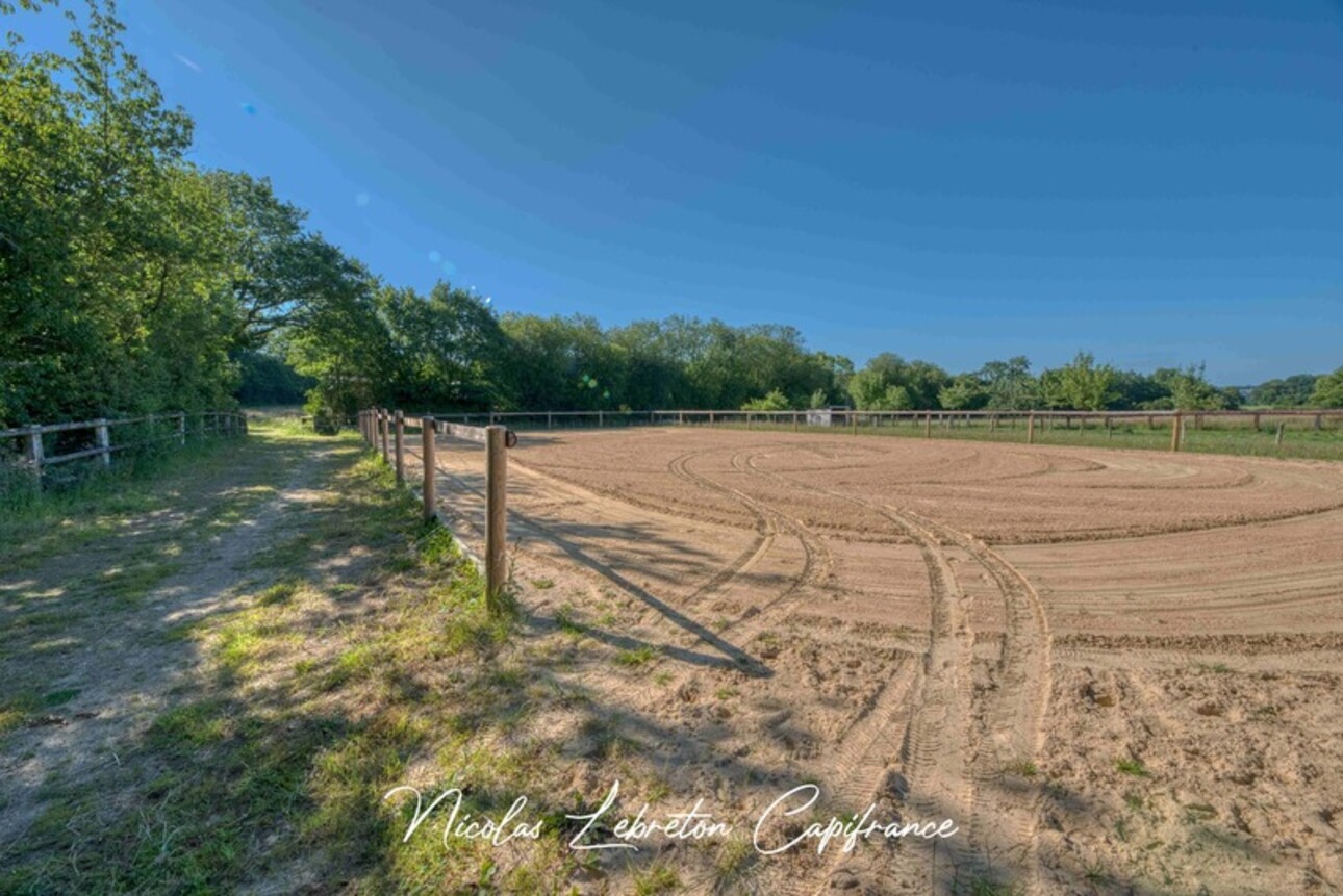 Photos 2 - Équestre - Grande villa équestre sur 12,5 hectares