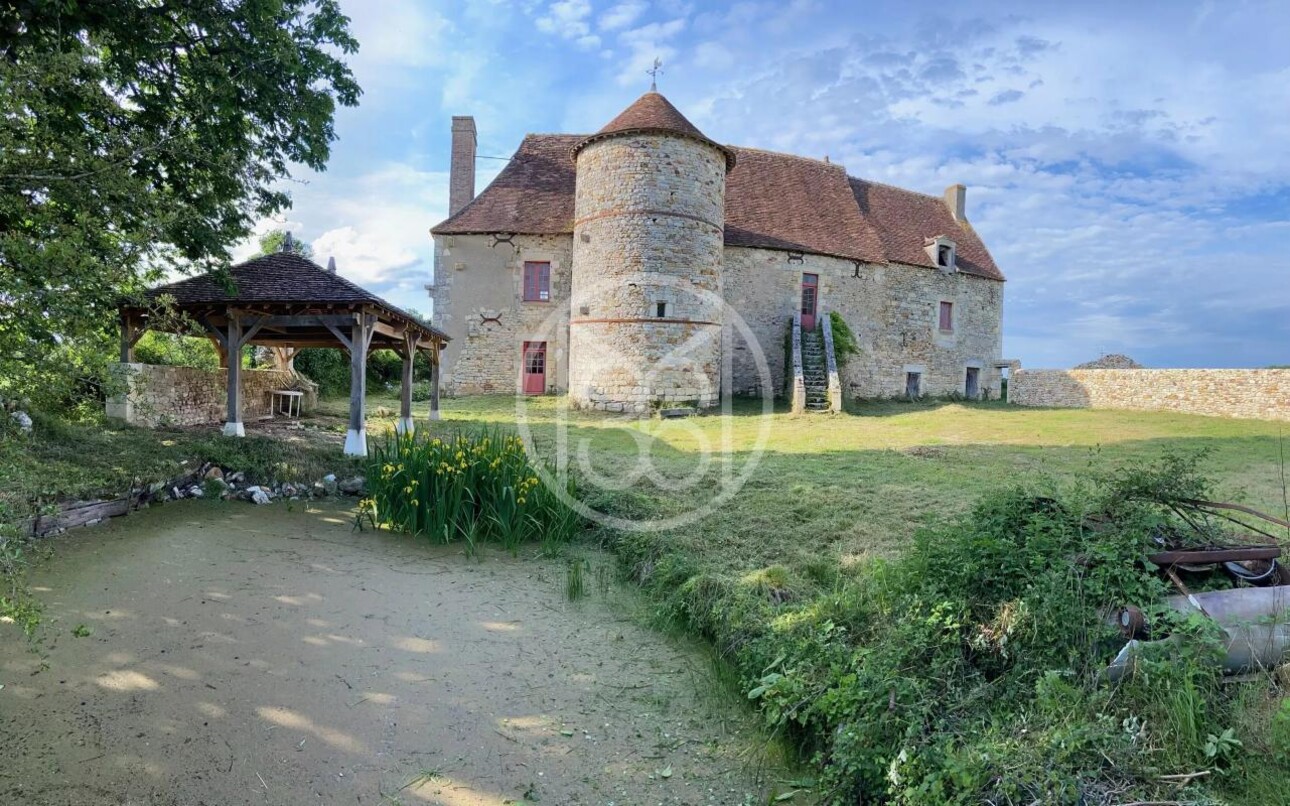 Photos 1 - Prestigious - MEDIEVAL CHATEAU TO RESTORE IN THE BRENNE REGION