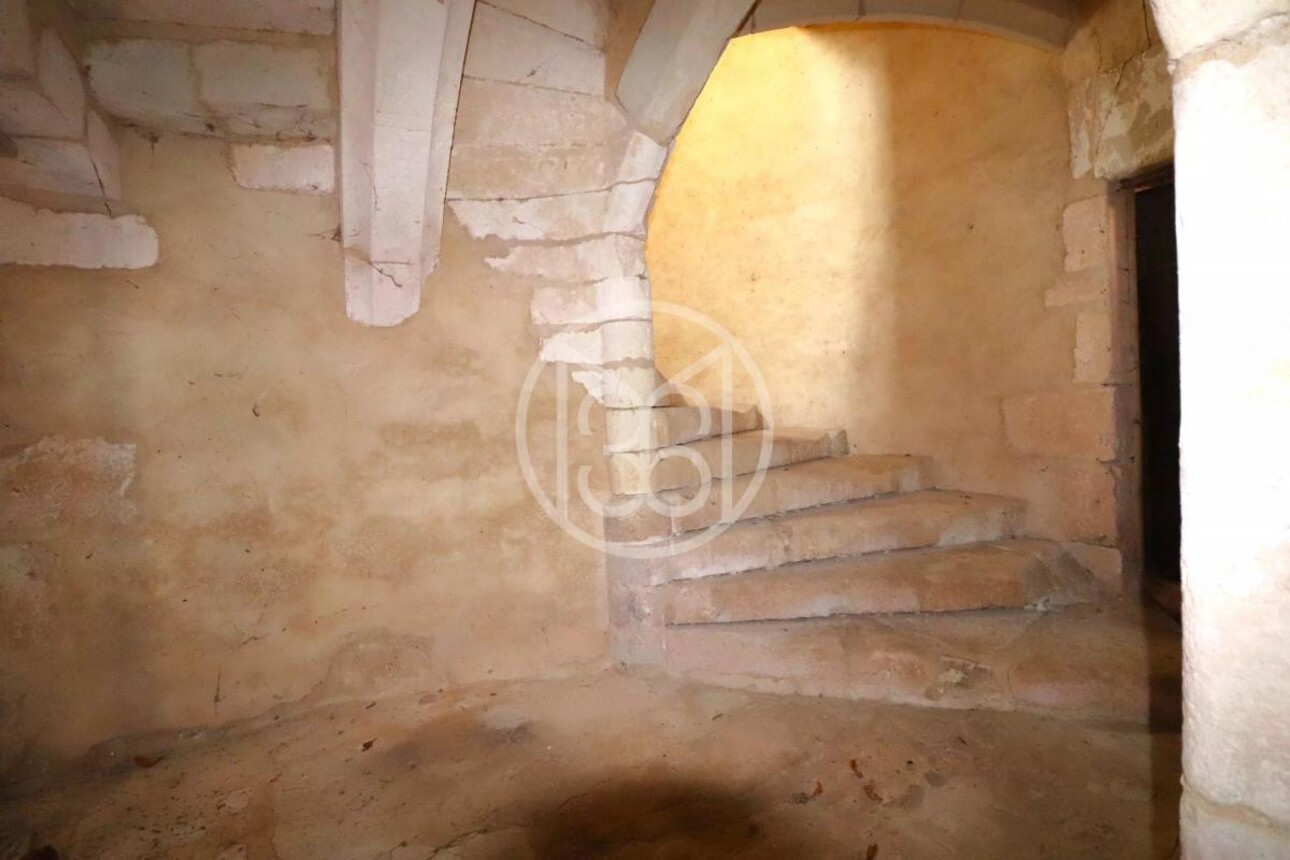 Photos 9 - Prestigious - MEDIEVAL CHATEAU TO RESTORE IN THE BRENNE REGION