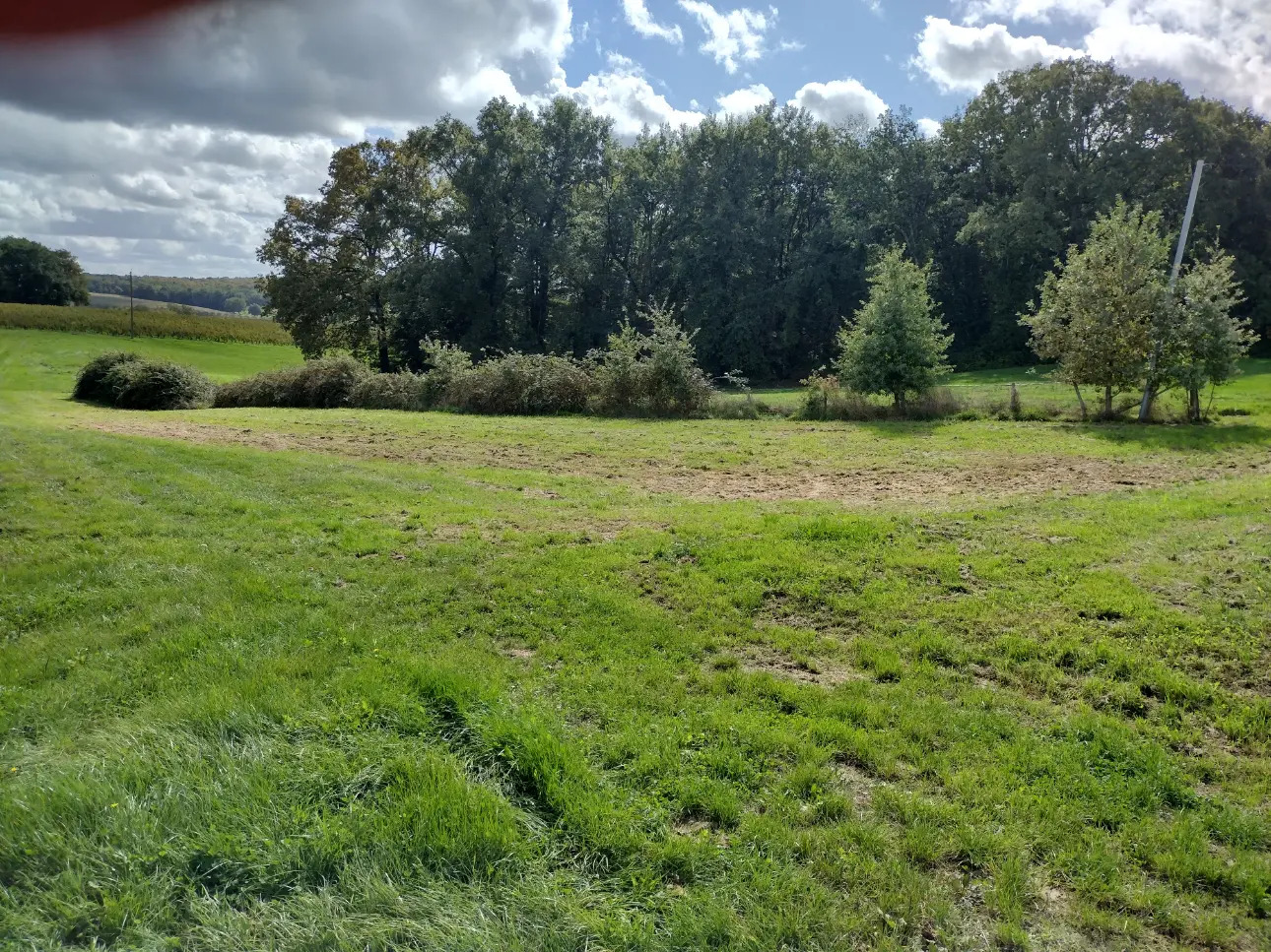 Photos 3 - Agricole - Petite propriété de 8 hectares ,au confins des départements 33,47,24