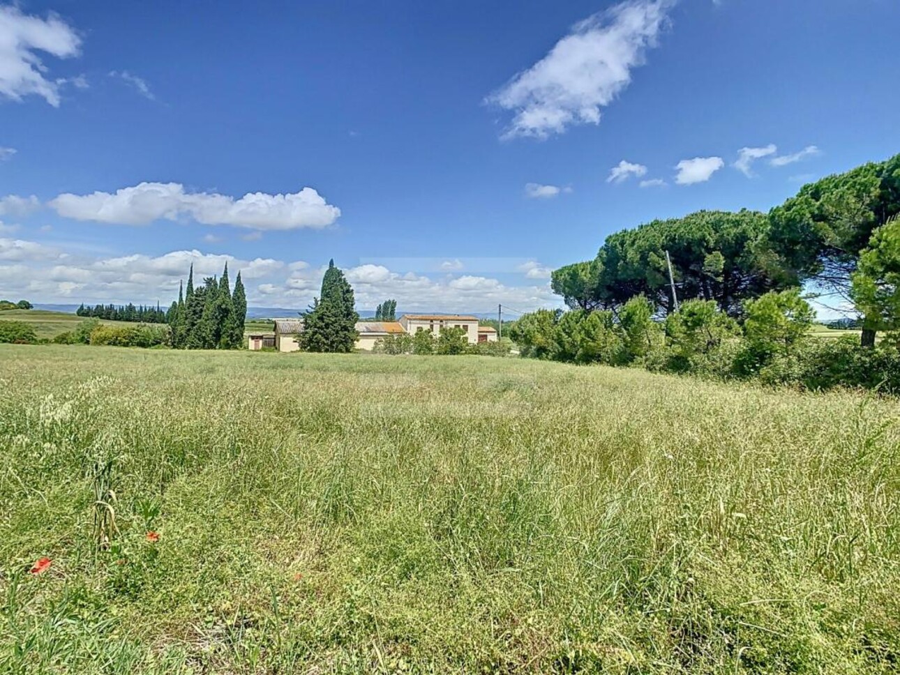 Photos 1 - Foncière - Propriété agricole