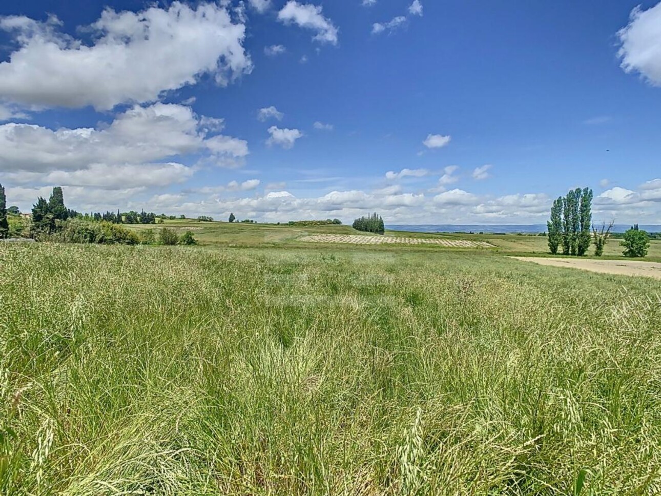 Photos 13 - Foncière - Propriété agricole