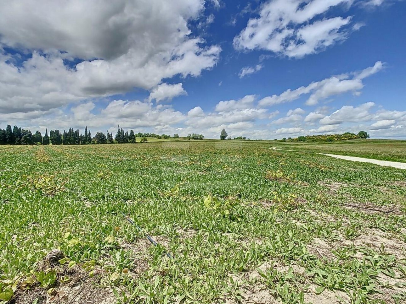 Photos 14 - Foncière - Propriété agricole