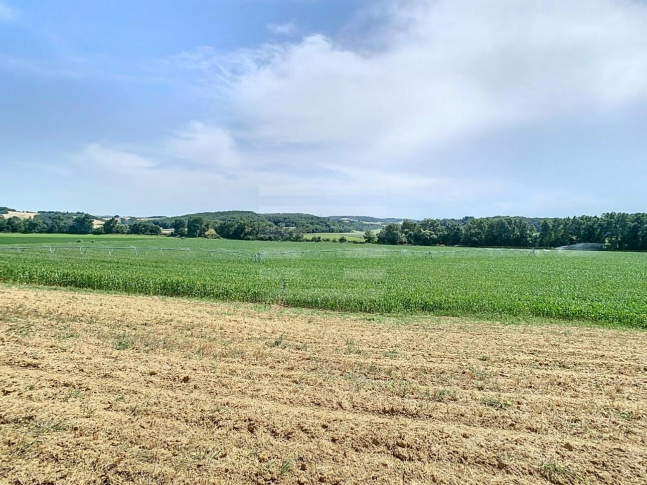 Photos 2 - Foncière - Terrain agricole