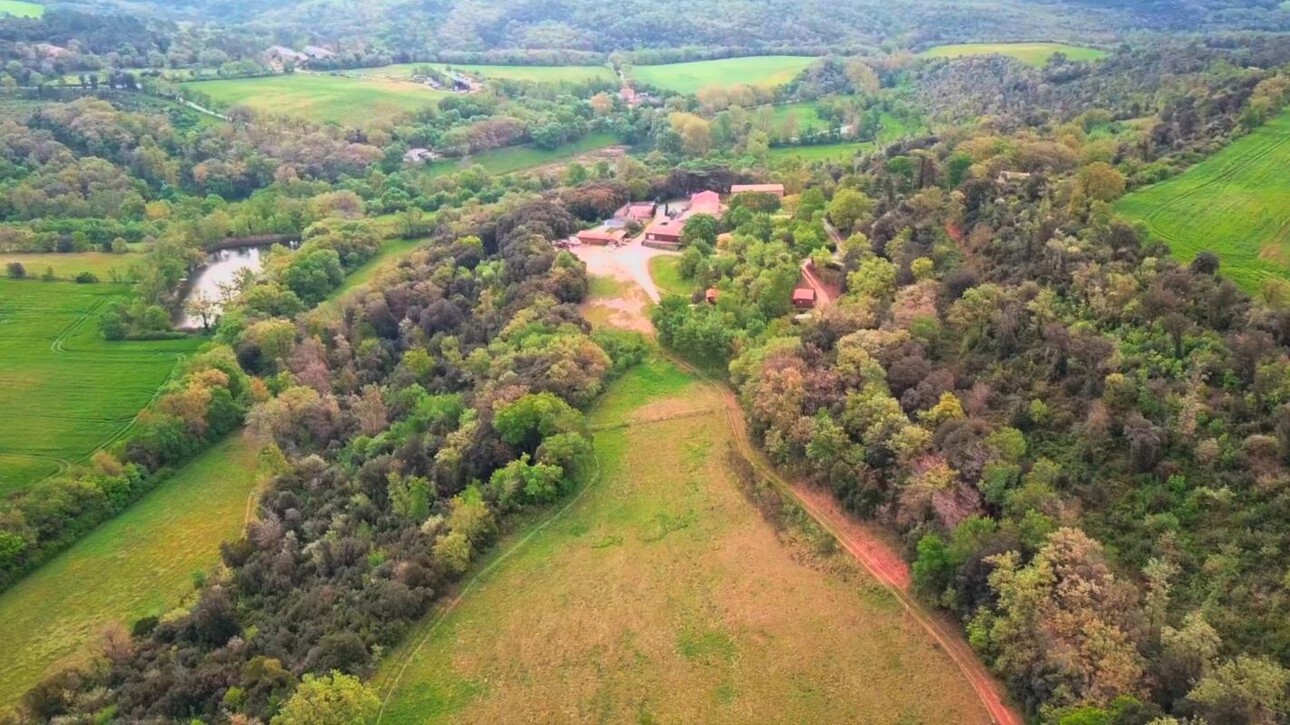 Photos 1 - Forestière - Propriété de chasse