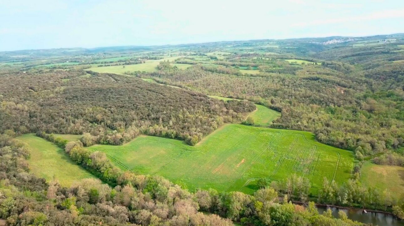 Photos 2 - Forestière - Propriété de chasse