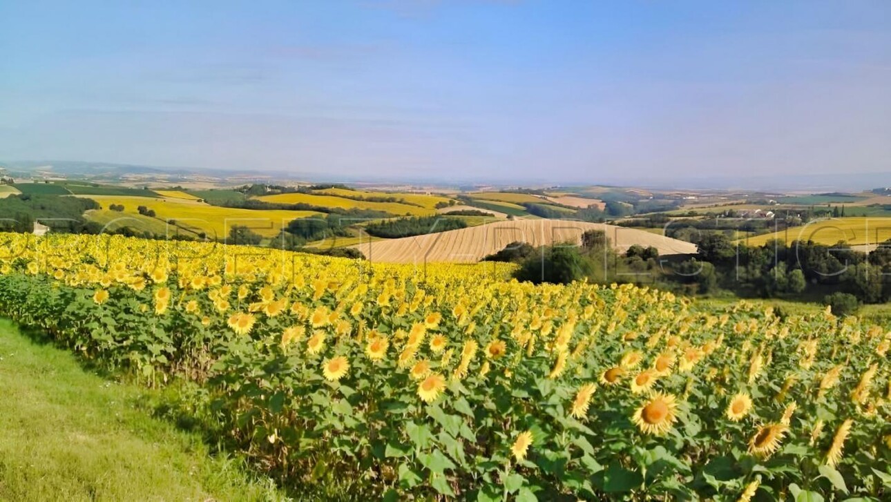 Photos 1 - Foncière - OCCITANIE PROPRIETE 820 HA LACS COLLINAIRES