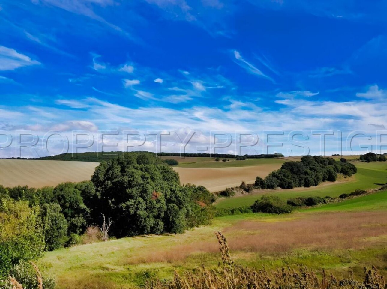 Photos 2 - Foncière - OCCITANIE PROPRIETE 820 HA LACS COLLINAIRES