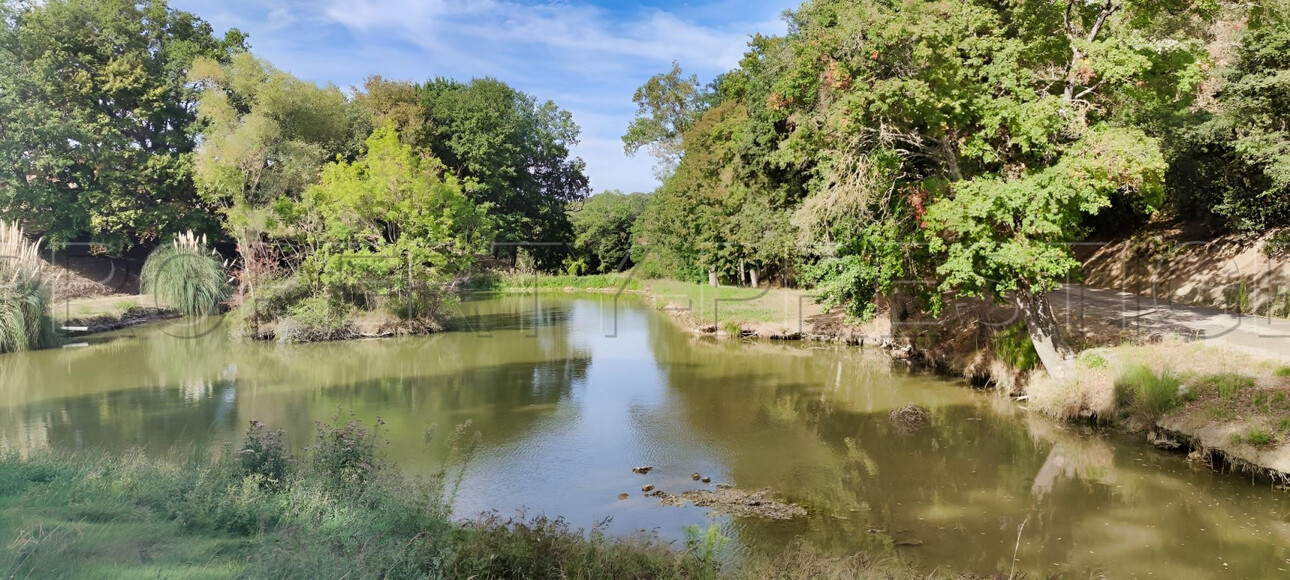 Photos 4 - Foncière - OCCITANIE PROPRIETE 820 HA LACS COLLINAIRES