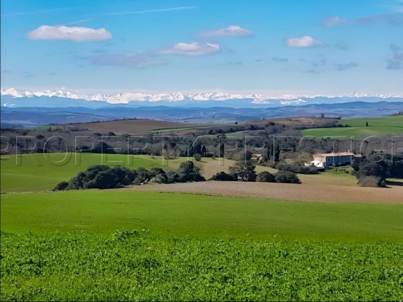 Photos 5 - Foncière - OCCITANIE PROPRIETE 820 HA LACS COLLINAIRES