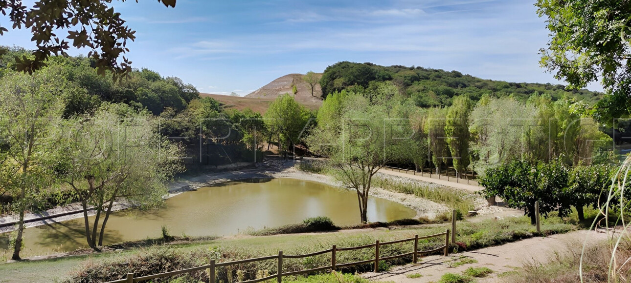 Photos 6 - Foncière - OCCITANIE PROPRIETE 820 HA LACS COLLINAIRES