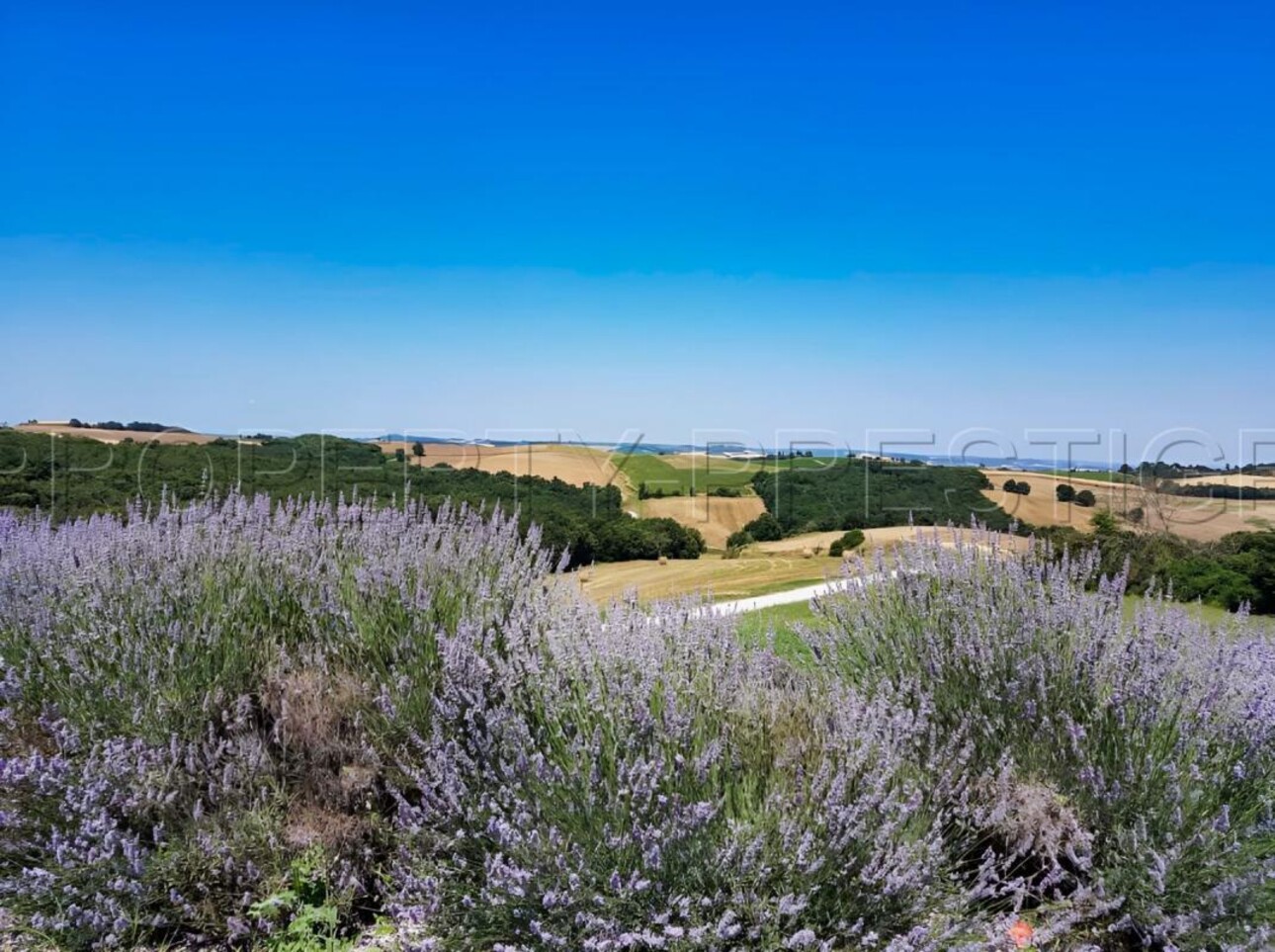 Photos 8 - Foncière - OCCITANIE PROPRIETE 820 HA LACS COLLINAIRES